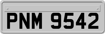 PNM9542