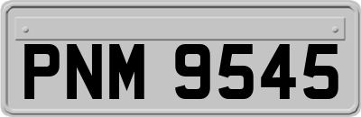 PNM9545