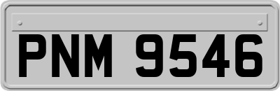 PNM9546