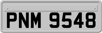 PNM9548