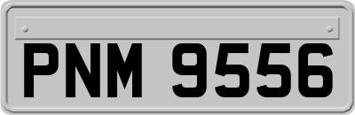 PNM9556