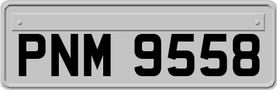 PNM9558