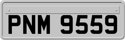 PNM9559