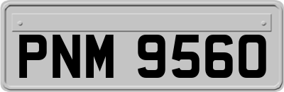 PNM9560