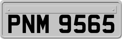 PNM9565