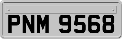 PNM9568
