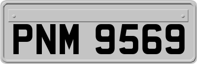 PNM9569
