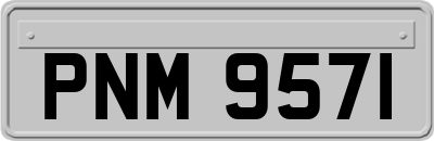 PNM9571