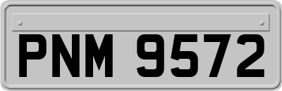 PNM9572