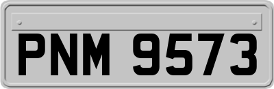 PNM9573