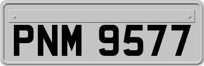 PNM9577