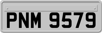 PNM9579