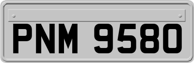 PNM9580