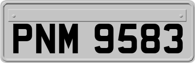 PNM9583
