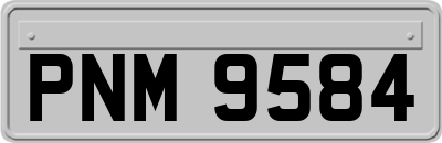 PNM9584