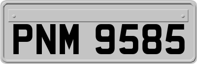 PNM9585