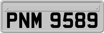 PNM9589