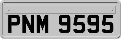 PNM9595