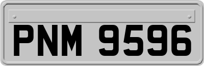 PNM9596