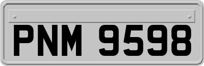 PNM9598
