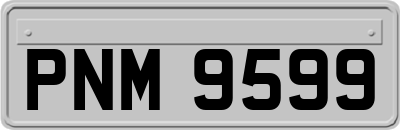 PNM9599
