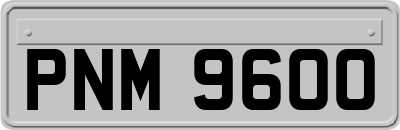 PNM9600