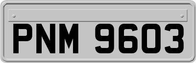 PNM9603