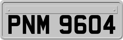 PNM9604