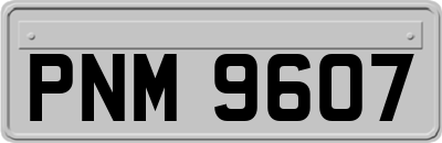 PNM9607