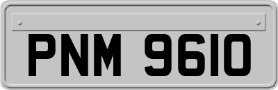PNM9610