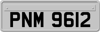 PNM9612
