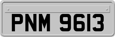 PNM9613