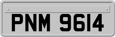 PNM9614