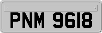 PNM9618