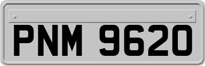 PNM9620