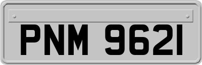 PNM9621