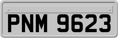 PNM9623