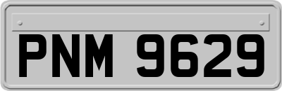 PNM9629