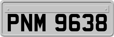PNM9638