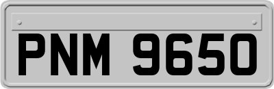 PNM9650