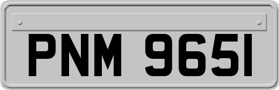 PNM9651