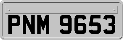 PNM9653
