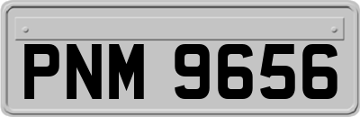 PNM9656