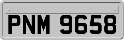 PNM9658