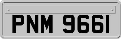 PNM9661