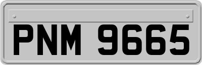 PNM9665