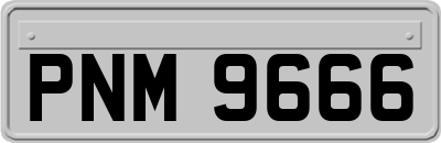 PNM9666