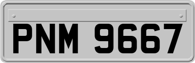 PNM9667