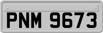 PNM9673