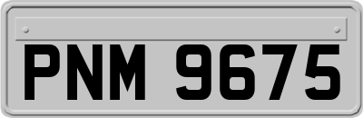 PNM9675